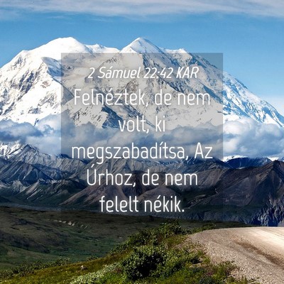 Picture 04 - 2 Sámuel 22:42 KAR - Felnéztek, de nem volt, ki megszabadítsa, Az - Bible Verse Picture
