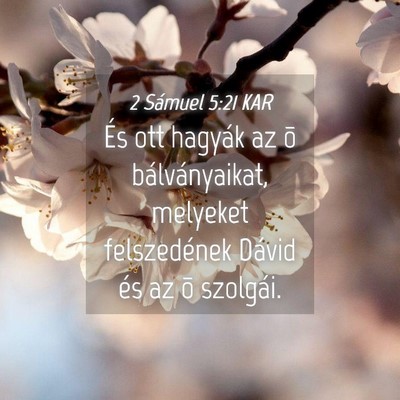 Picture 04 - 2 Sámuel 5:21 KAR - És ott hagyák az õ bálványaikat, melyeket - Bible Verse Picture
