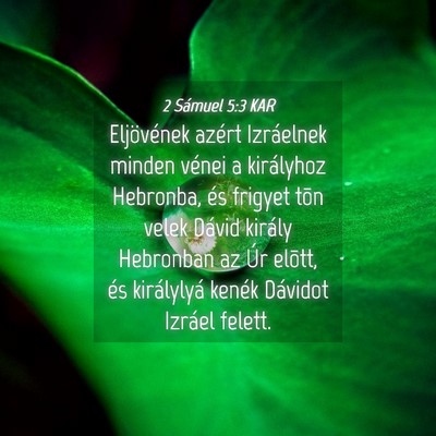 Picture 04 - 2 Sámuel 5:3 KAR - Eljövének azért Izráelnek minden vénei a - Bible Verse Picture