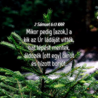 Picture 04 - 2 Sámuel 6:13 KAR - Mikor pedig [azok,] a kik az Úr ládáját - Bible Verse Picture