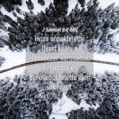 Picture 04 - 2 Sámuel 8:8 KAR - Hoza annakfelette Dávid király a Hadadézer - Bible Verse Picture