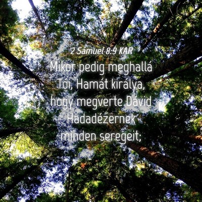 Picture 04 - 2 Sámuel 8:9 KAR - Mikor pedig meghallá Tói, Hamát királya, hogy - Bible Verse Picture