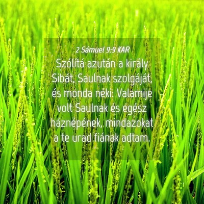 Picture 04 - 2 Sámuel 9:9 KAR - Szólítá azután a király Sibát, Saulnak - Bible Verse Picture