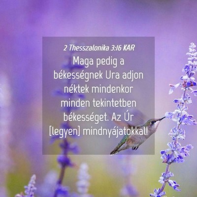 Picture 04 - 2 Thesszalonika 3:16 KAR - Maga pedig a békességnek Ura adjon néktek - Bible Verse Picture