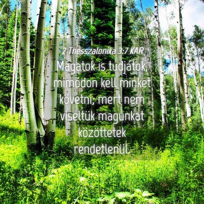 Picture 04 - 2 Thesszalonika 3:7 KAR - Magatok is tudjátok, mimódon kell minket - Bible Verse Picture