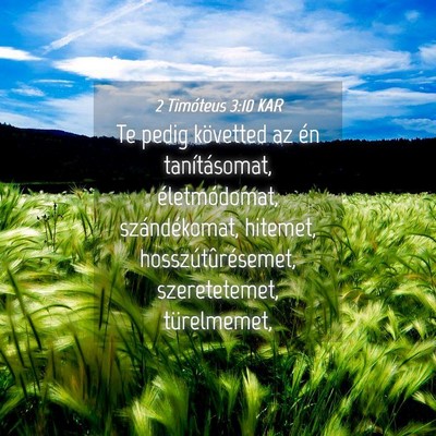 Picture 04 - 2 Timóteus 3:10 KAR - Te pedig követted az én tanításomat, - Bible Verse Picture