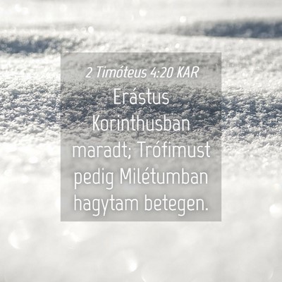 Picture 04 - 2 Timóteus 4:20 KAR - Erástus Korinthusban maradt; Trófimust pedig - Bible Verse Picture