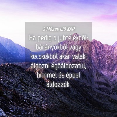 Picture 04 - 3 Mózes 1:10 KAR - Ha pedig a juhfélékbõl: bárányokból vagy - Bible Verse Picture