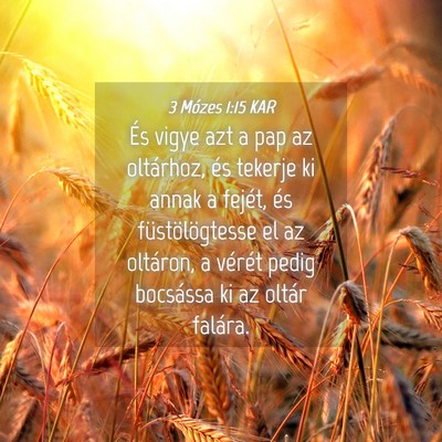 Picture 04 - 3 Mózes 1:15 KAR - És vigye azt a pap az oltárhoz, és tekerje ki - Bible Verse Picture