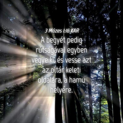 Picture 04 - 3 Mózes 1:16 KAR - A begyét pedig rútságával egyben vegye ki, - Bible Verse Picture