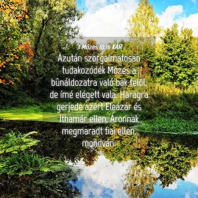 Picture 04 - 3 Mózes 10:16 KAR - Azután szorgalmatosan tudakozódék Mózes a - Bible Verse Picture