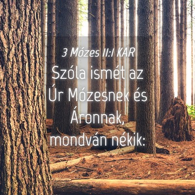 Picture 04 - 3 Mózes 11:1 KAR - Szóla ismét az Úr Mózesnek és Áronnak, - Bible Verse Picture