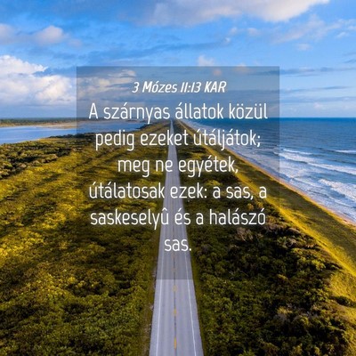 Picture 04 - 3 Mózes 11:13 KAR - A szárnyas állatok közül pedig ezeket - Bible Verse Picture