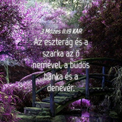 Picture 04 - 3 Mózes 11:19 KAR - Az eszterág és a szarka az õ nemével, a - Bible Verse Picture