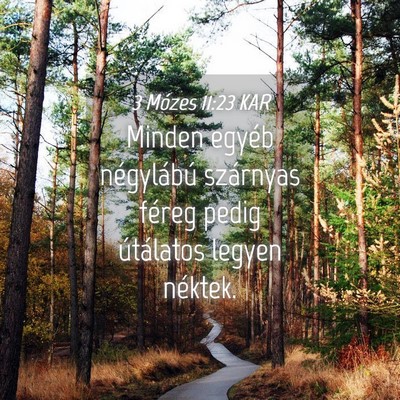 Picture 04 - 3 Mózes 11:23 KAR - Minden egyéb négylábú szárnyas féreg pedig - Bible Verse Picture