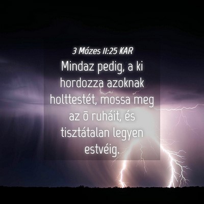 Picture 04 - 3 Mózes 11:25 KAR - Mindaz pedig, a ki hordozza azoknak holttestét, - Bible Verse Picture