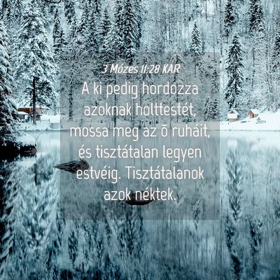 Picture 04 - 3 Mózes 11:28 KAR - A ki pedig hordozza azoknak holttestét, mossa - Bible Verse Picture