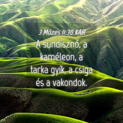 Picture 04 - 3 Mózes 11:30 KAR - A sündisznó, a kaméleon, a tarka gyík, a - Bible Verse Picture