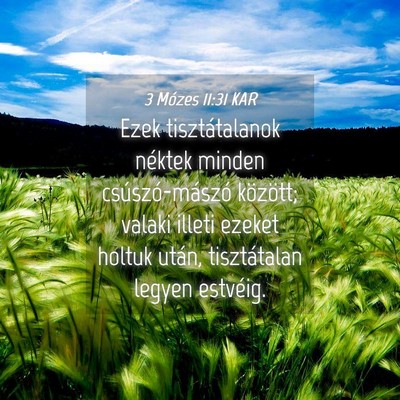 Picture 04 - 3 Mózes 11:31 KAR - Ezek tisztátalanok néktek minden - Bible Verse Picture