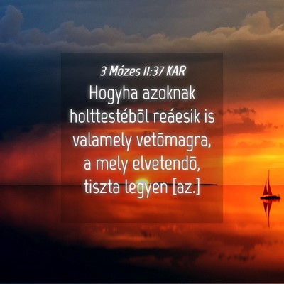 Picture 04 - 3 Mózes 11:37 KAR - Hogyha azoknak holttestébõl reáesik is - Bible Verse Picture