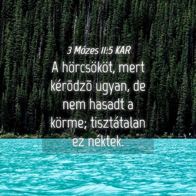 Picture 04 - 3 Mózes 11:5 KAR - A hörcsököt, mert kérõdzõ ugyan, de nem - Bible Verse Picture