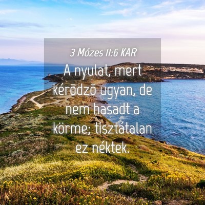 Picture 04 - 3 Mózes 11:6 KAR - A nyulat, mert kérõdzõ ugyan, de nem hasadt a - Bible Verse Picture