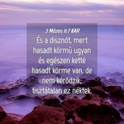 Picture 04 - 3 Mózes 11:7 KAR - És a disznót, mert hasadt körmû ugyan és - Bible Verse Picture