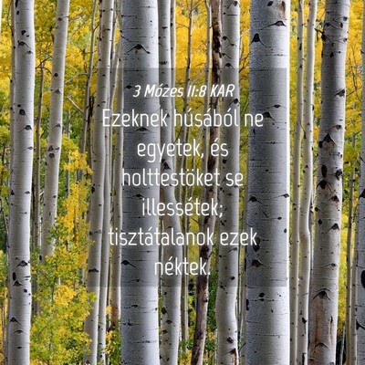 Picture 04 - 3 Mózes 11:8 KAR - Ezeknek húsából ne egyetek, és holttestöket - Bible Verse Picture