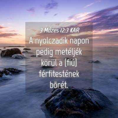 Picture 04 - 3 Mózes 12:3 KAR - A nyolczadik napon pedig metéljék körül a - Bible Verse Picture