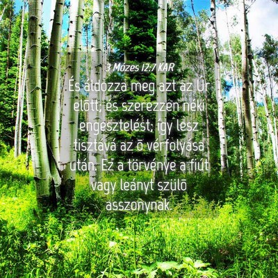 Picture 04 - 3 Mózes 12:7 KAR - És áldozza meg azt az Úr elõtt; és szerezzen - Bible Verse Picture