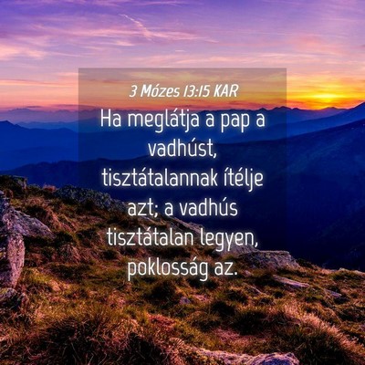 Picture 04 - 3 Mózes 13:15 KAR - Ha meglátja a pap a vadhúst, tisztátalannak - Bible Verse Picture