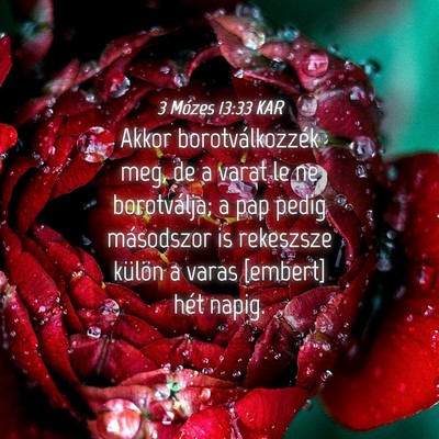Picture 04 - 3 Mózes 13:33 KAR - Akkor borotválkozzék meg, de a varat le ne - Bible Verse Picture
