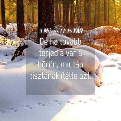 Picture 04 - 3 Mózes 13:35 KAR - De ha tovább terjed a var a bõrön, miután - Bible Verse Picture