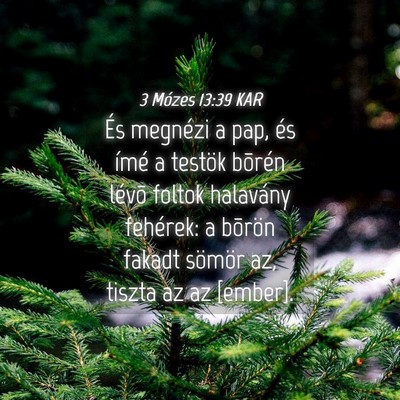 Picture 04 - 3 Mózes 13:39 KAR - És megnézi a pap, és ímé a testök bõrén - Bible Verse Picture