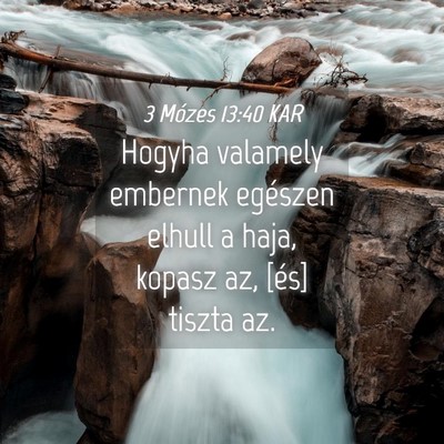 Picture 04 - 3 Mózes 13:40 KAR - Hogyha valamely embernek egészen elhull a haja, - Bible Verse Picture
