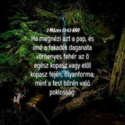 Picture 04 - 3 Mózes 13:43 KAR - Ha megnézi azt a pap, és ímé a fakadék - Bible Verse Picture