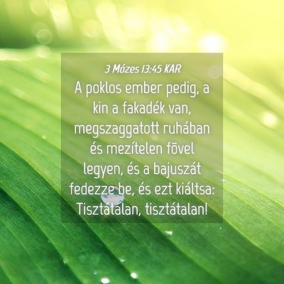 Picture 04 - 3 Mózes 13:45 KAR - A poklos ember pedig, a kin a fakadék van, - Bible Verse Picture