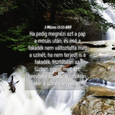 Picture 04 - 3 Mózes 13:55 KAR - Ha pedig megnézi azt a pap a mosás után, és - Bible Verse Picture