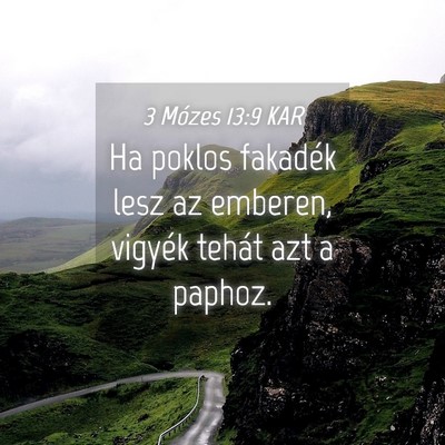 Picture 04 - 3 Mózes 13:9 KAR - Ha poklos fakadék lesz az emberen, vigyék - Bible Verse Picture