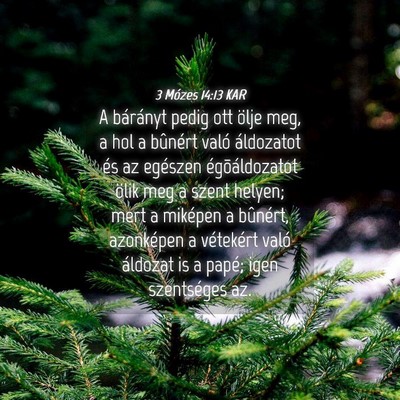 Picture 04 - 3 Mózes 14:13 KAR - A bárányt pedig ott ölje meg, a hol a bûnért - Bible Verse Picture
