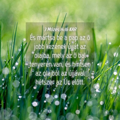 Picture 04 - 3 Mózes 14:16 KAR - És mártsa be a pap az õ jobb kezének újját - Bible Verse Picture