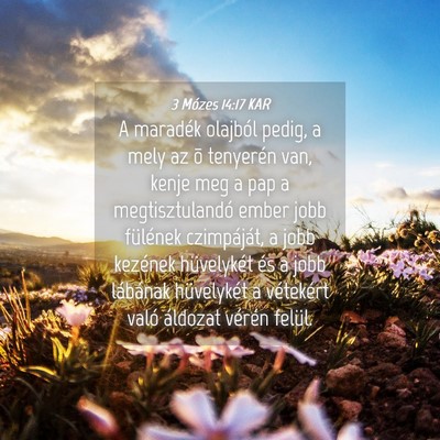 Picture 04 - 3 Mózes 14:17 KAR - A maradék olajból pedig, a mely az õ tenyerén - Bible Verse Picture