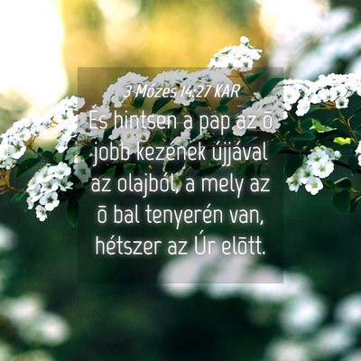 Picture 04 - 3 Mózes 14:27 KAR - És hintsen a pap az õ jobb kezének újjával - Bible Verse Picture