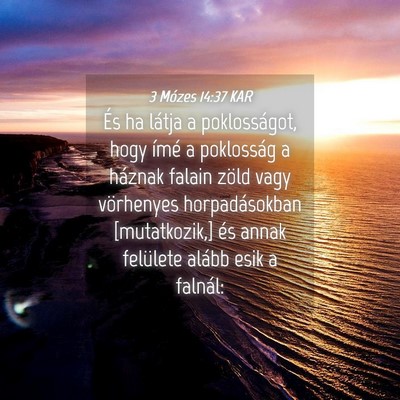 Picture 04 - 3 Mózes 14:37 KAR - És ha látja a poklosságot, hogy ímé a - Bible Verse Picture