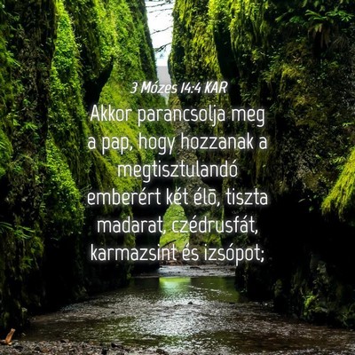 Picture 04 - 3 Mózes 14:4 KAR - Akkor parancsolja meg a pap, hogy hozzanak a - Bible Verse Picture
