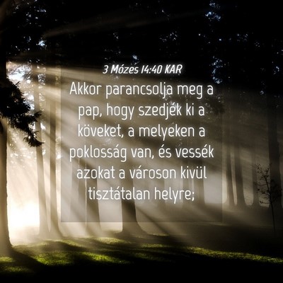 Picture 04 - 3 Mózes 14:40 KAR - Akkor parancsolja meg a pap, hogy szedjék ki a - Bible Verse Picture