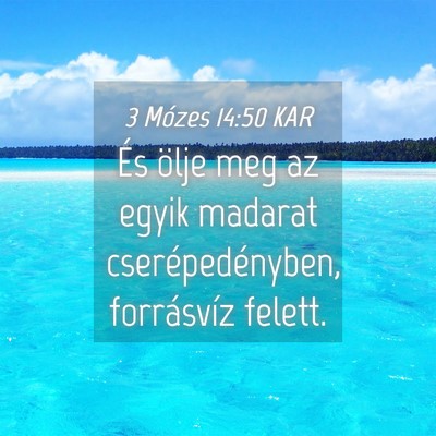 Picture 04 - 3 Mózes 14:50 KAR - És ölje meg az egyik madarat cserépedényben, - Bible Verse Picture
