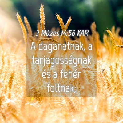 Picture 04 - 3 Mózes 14:56 KAR - A daganatnak, a tarjagosságnak és a fehér - Bible Verse Picture