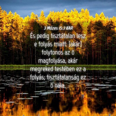 Picture 04 - 3 Mózes 15:3 KAR - És pedig tisztátalan lesz e folyás miatt: - Bible Verse Picture