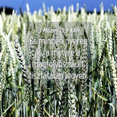 Picture 04 - 3 Mózes 15:9 KAR - És minden nyereg is, a melyre a magfolyós - Bible Verse Picture